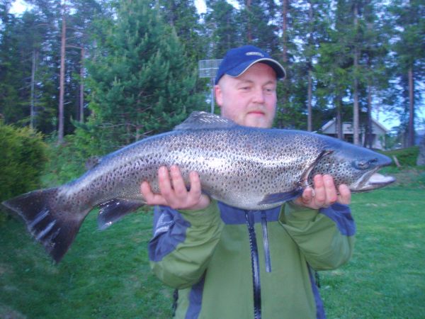 6850 gram - 0,84 meter
