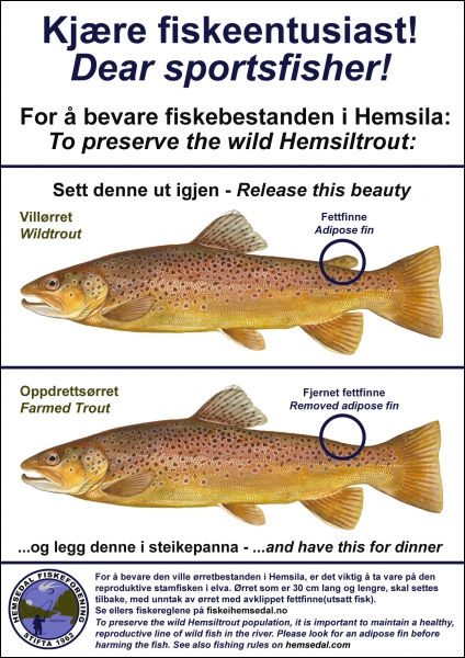 Info om fisk_Pål Rørby