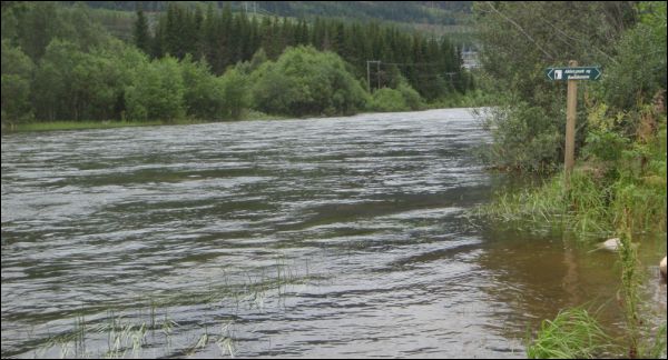 ved &Oslash;ynebrune