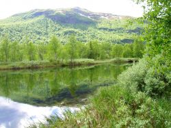 Gr&oslash;nd&oslash;la